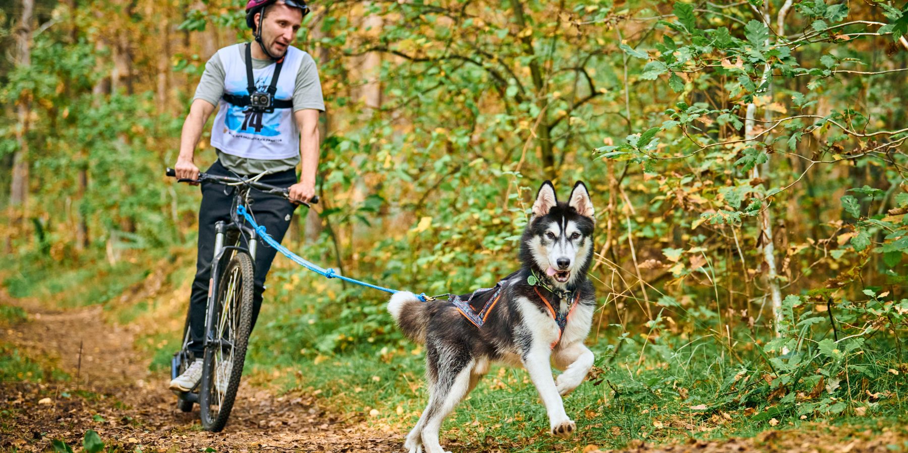 Training Techniques and Fitness Tips for Aspiring Bikejorers